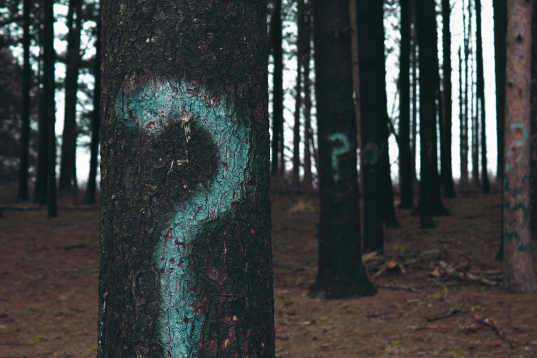 Фото:  Evan Dennis / Unsplash.com