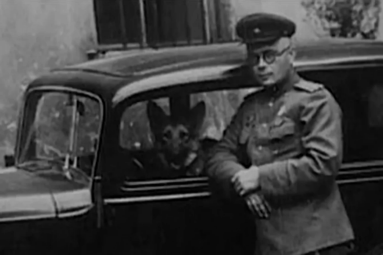 Николай Павленко