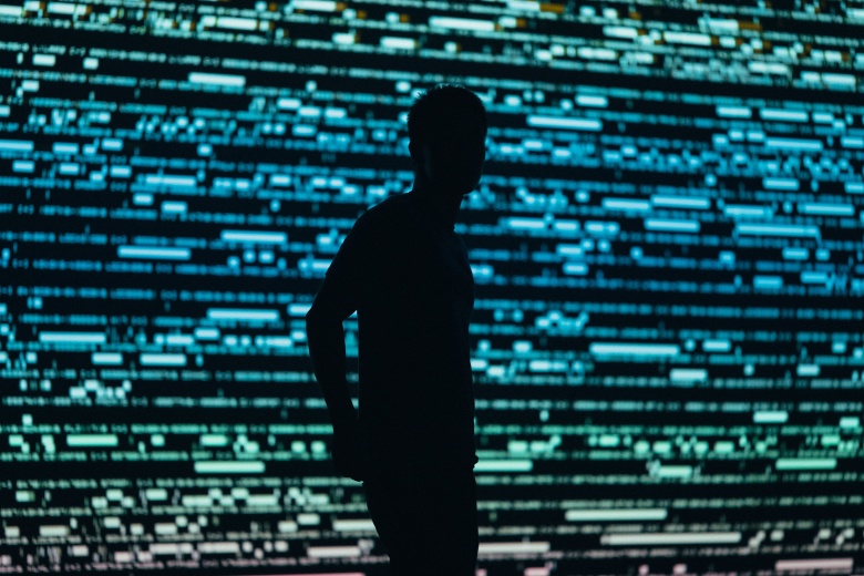 Фото: Unsplash.com