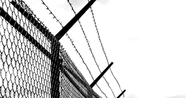 Фото: pixabay.com