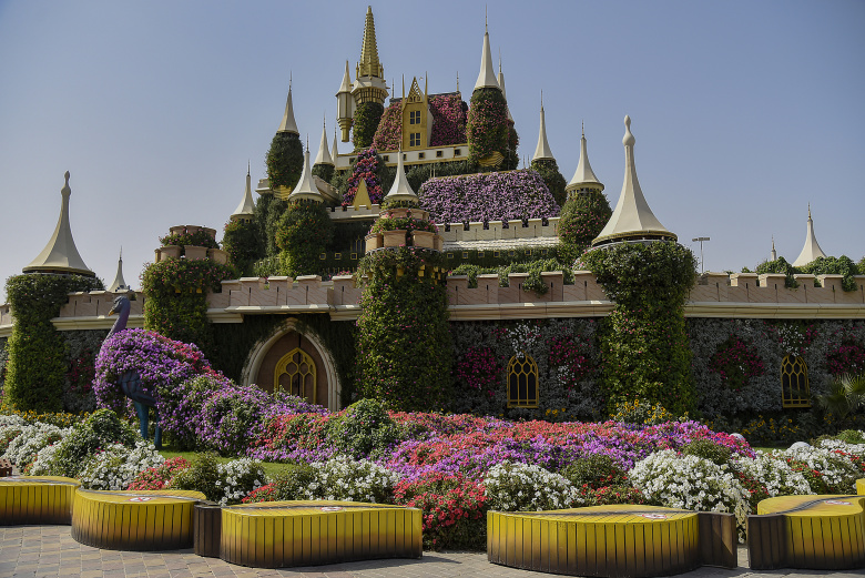 Miracle Garden, Дубай. Фото: Drahoslav Ramik / CTK / Global Look Press