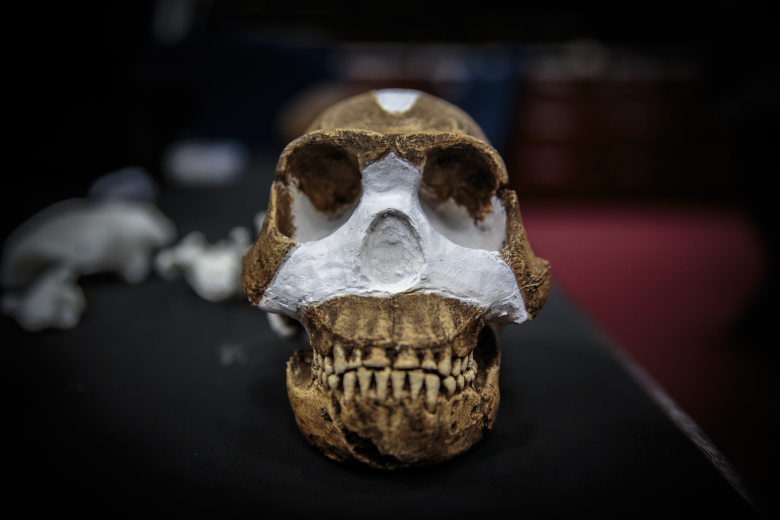 Homo Naledi.
