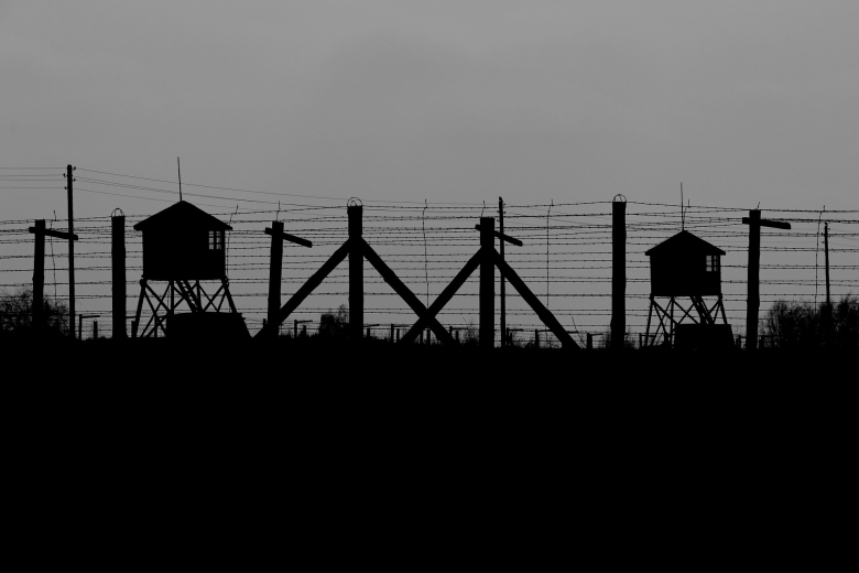 Фото: pixabay.com