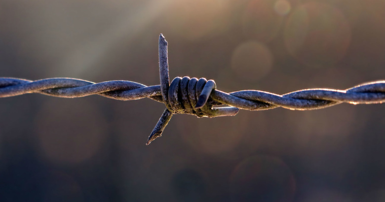 Фото: pixabay.com
