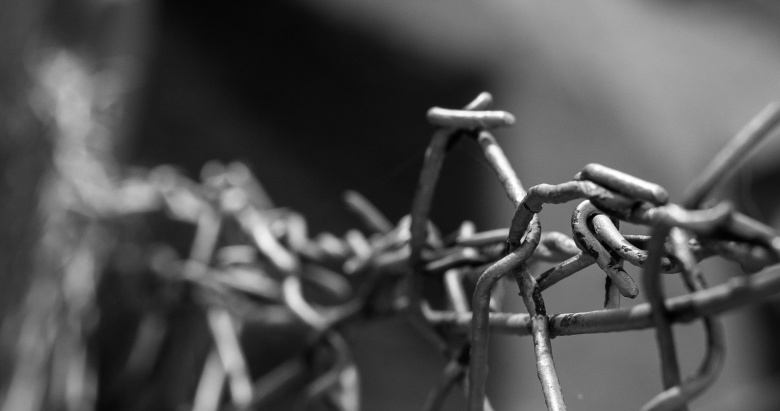 Фото: pixabay.com
