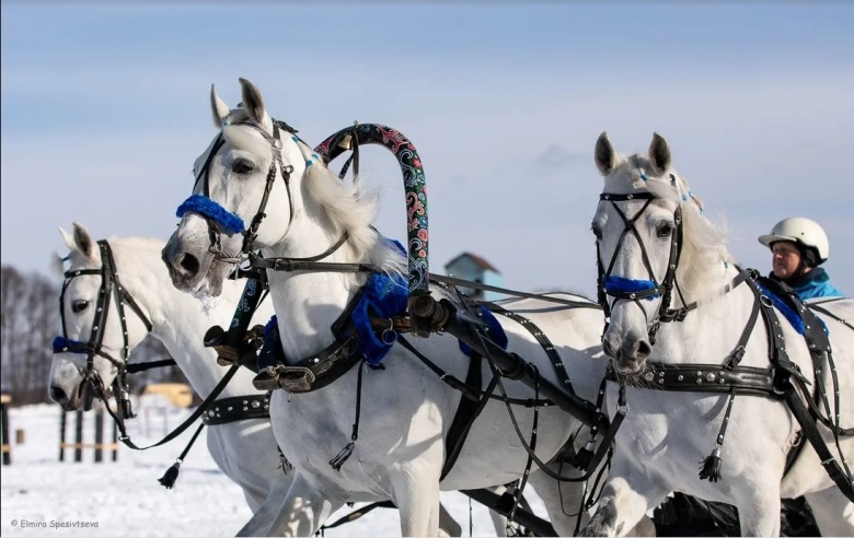 Фото из личного архива Марины Великановой