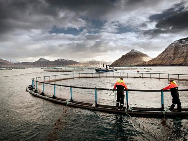 Фото: Bakkafrost group