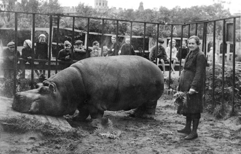 Евдокия Дашкина и бегемот Красавица, 1944 год