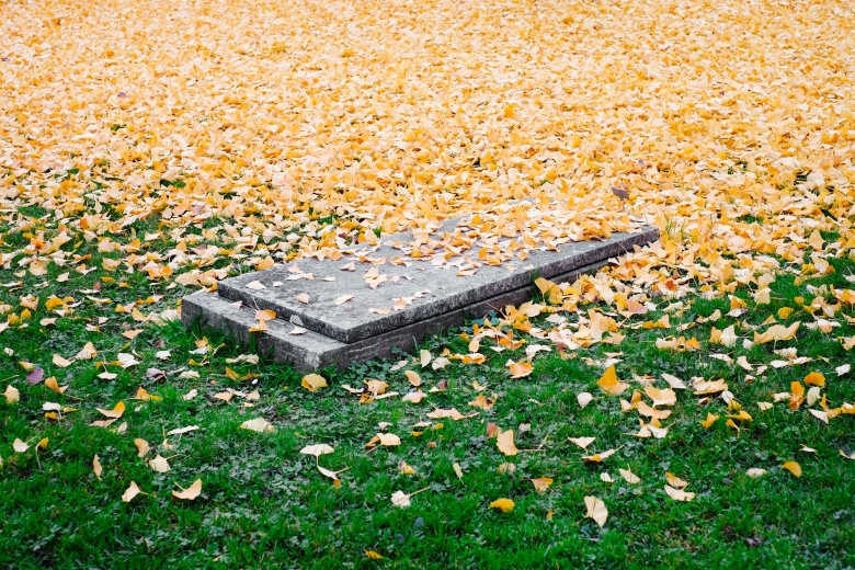 Фото: Samuel Zeler / Unsplash.com
