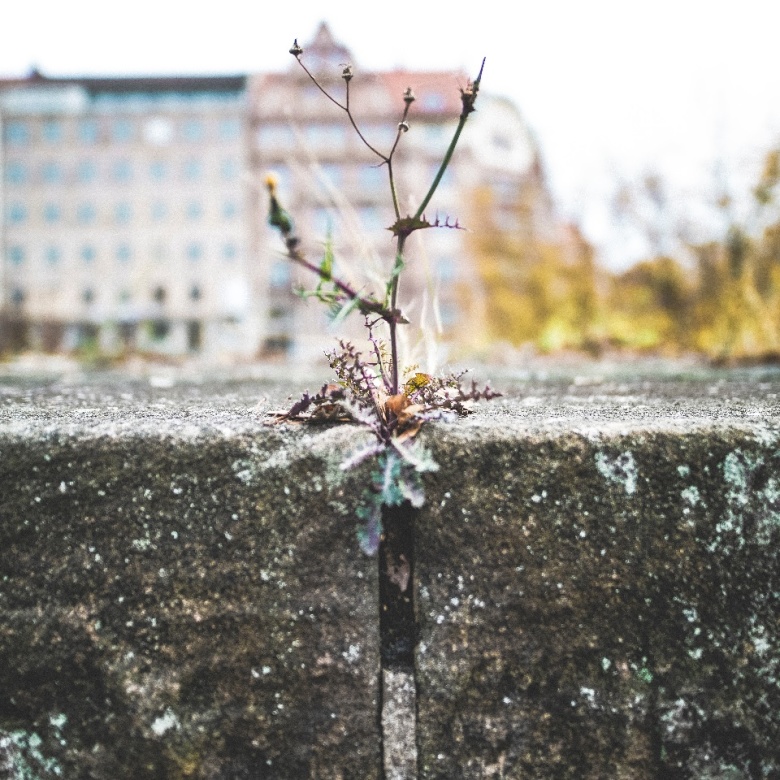 Photo by Markus Spiske on Unsplash