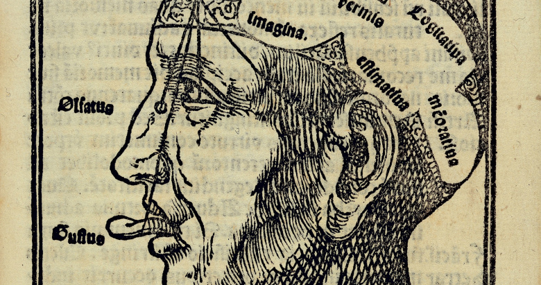 Иллюстрация: wellcomeimages.com