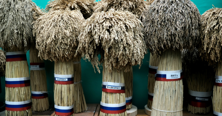 Образцы риса, представленные в отделе селекции риса Всероссийского научно-исследовательского института риса в Краснодаре.  Фото: Николай Хижняк / РИА Новости