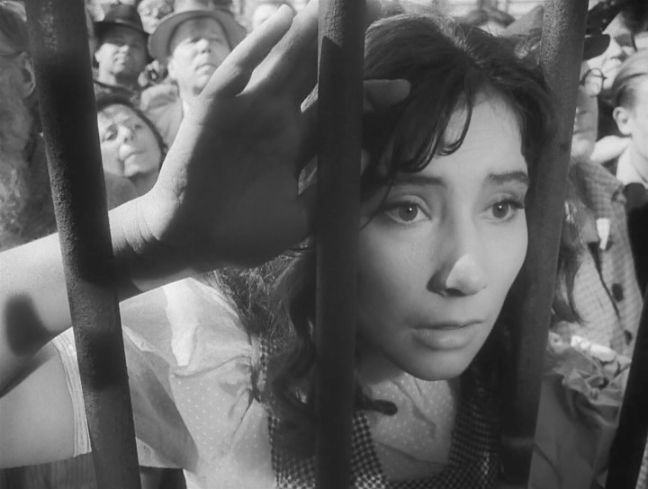 Татьяна Самойлова в фильме Михаила Калатозова «Летят журавли» (оператор-постановщик Сергей Урусевский)