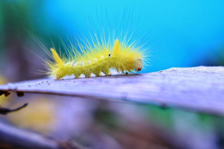 Фото: pixabay.com