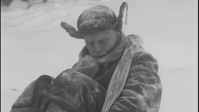 «Блокадный дневник» Андрея Зайцева напоминает об эстетике зомби-хорроров