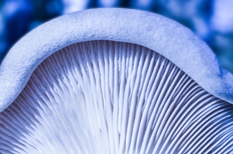 Фото: Unsplash.com