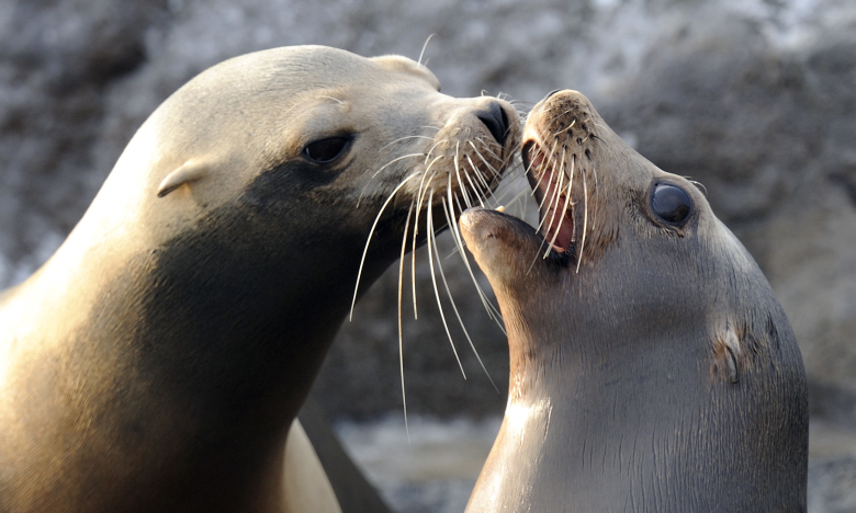 Kirsten Neumann / Reuters