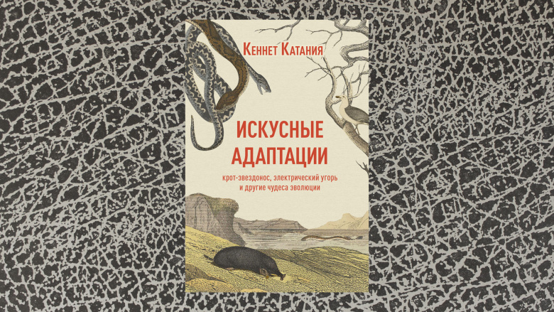 Кеннет Катания. Искусные адаптации. Перевод с английского А.Коваленко